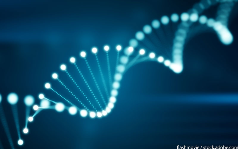 DNA DNA