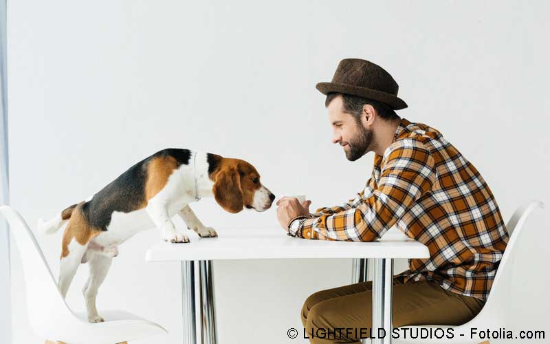 Hund schnüffelt Hund schnüffelt