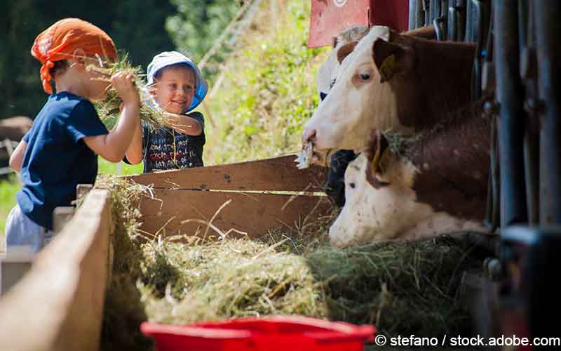 Kinder Kuhstall Kinder Kuhstall