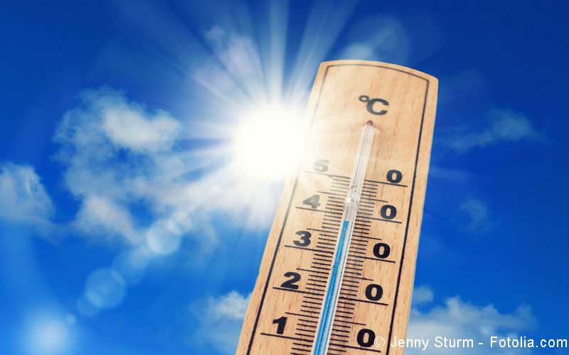 Sommerhitze Sommerhitze