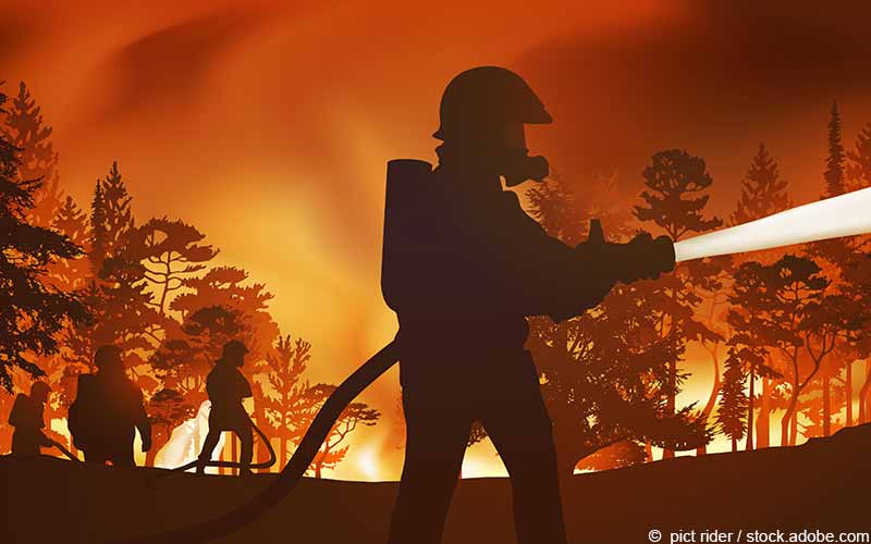 Waldbrand Waldbrand