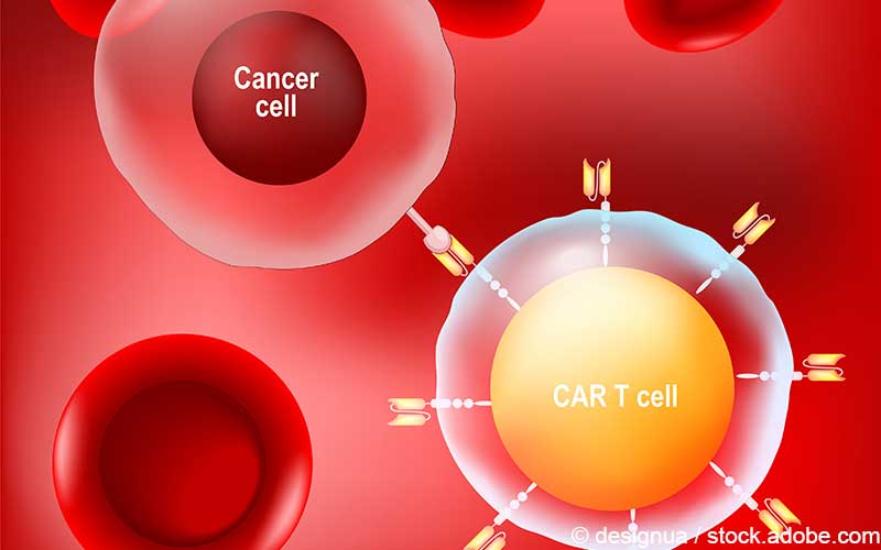 CAR-T-Zell Andocken Krebszelle