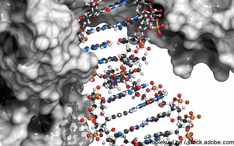 DNA Schäden Nachweis