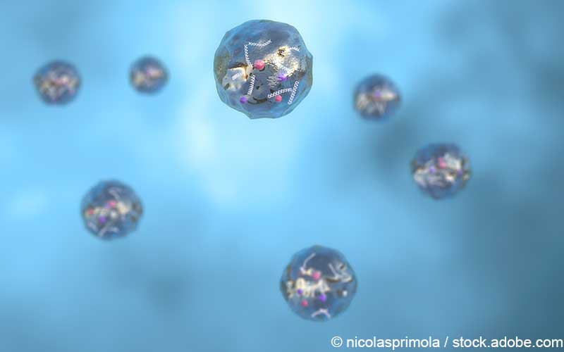 Exosome Vesikel Exosome Vesikel