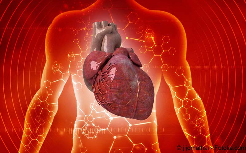 Herz Kardiologie Herz Kardiologie