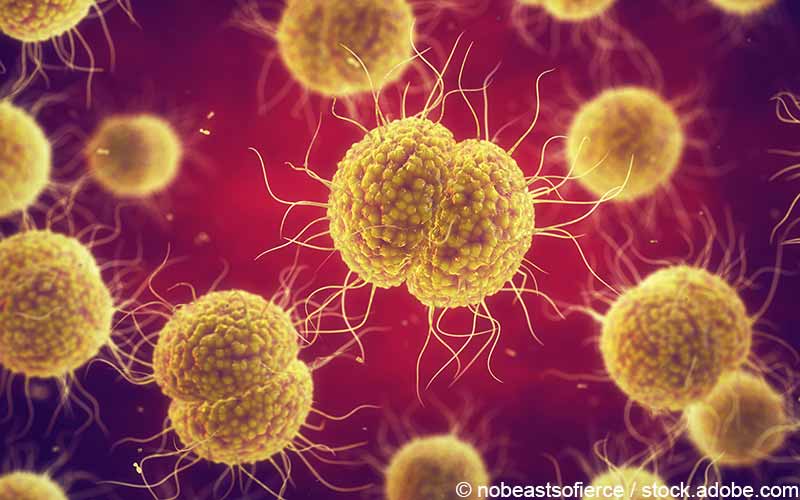 Neisseria gonorrhoeae