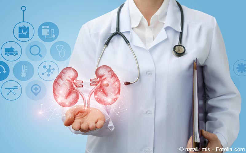 Niere-Doktor Niere-Doktor