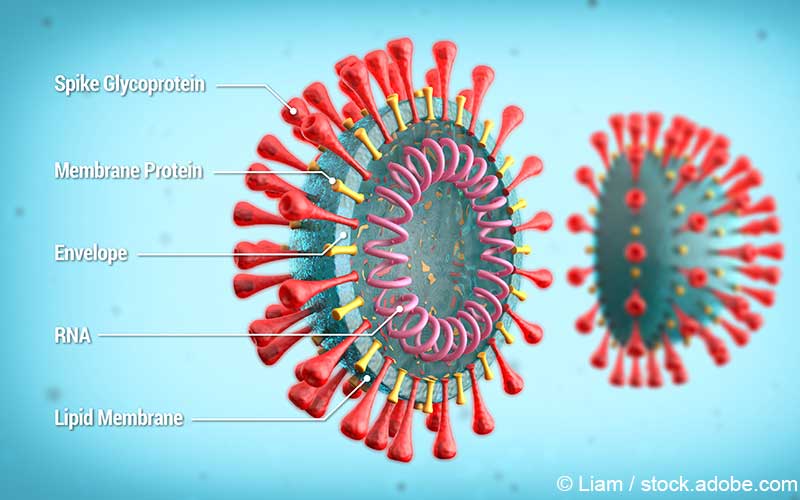 SARS-CoV2-Virus Aufbau