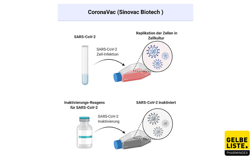 Sinovac Impfstoff Europa - Corona Impfstoff Entwicklung ...