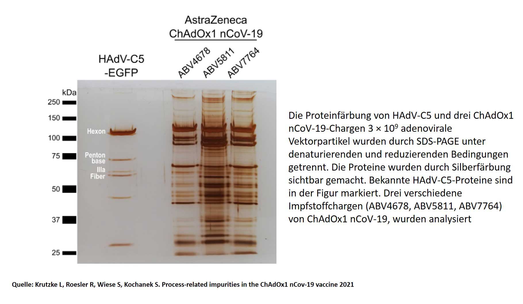 AstraZeneca-Verunreinigung