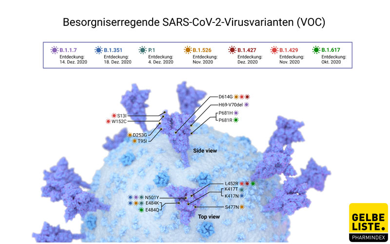 Ubersicht Der Corona Mutanten Gelbe Liste