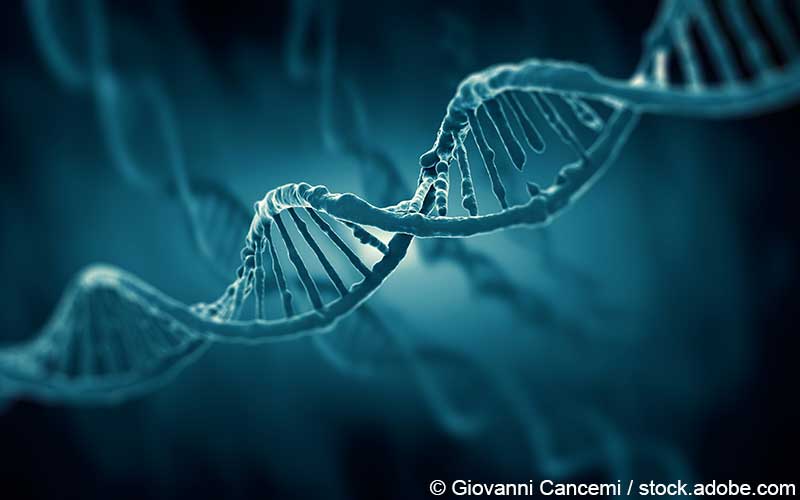 DNA Strang DNA Strang
