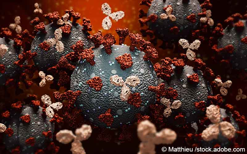 Monokonale Antikörper gegen Viren