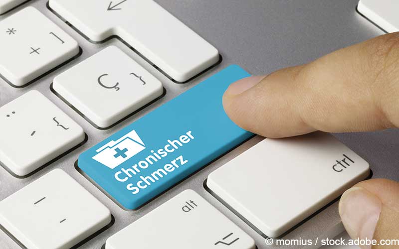 Chronischer Schmerz