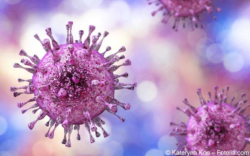 CMV-Virus CMV-Virus