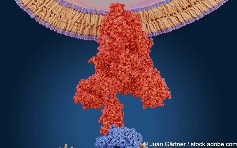 Coronavirus ACE Molekuel Coronavirus ACE Molekuel