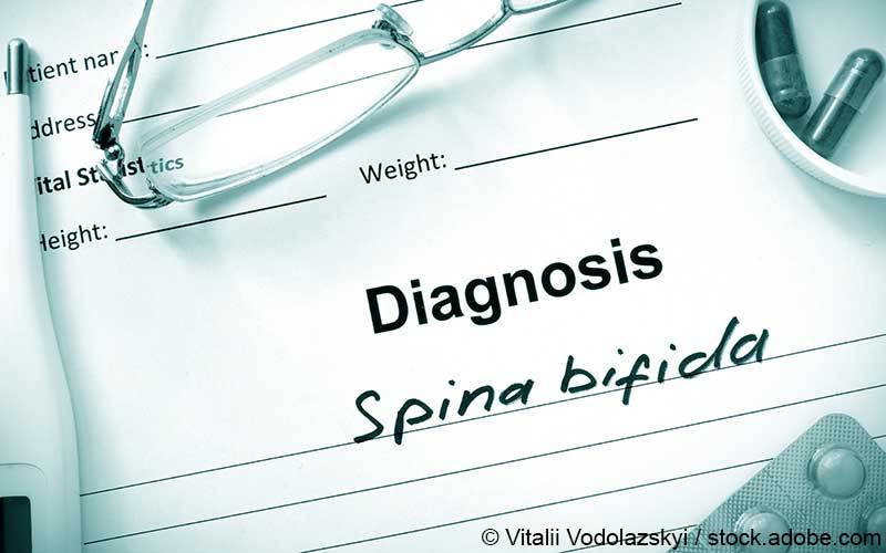 Spina bifida Spina bifida