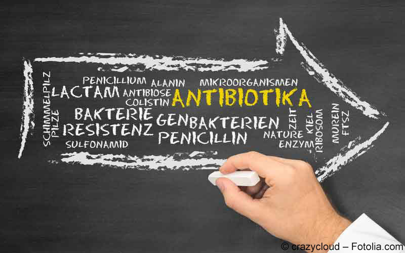 Betalaktam-Antibiotika | Gelbe Liste