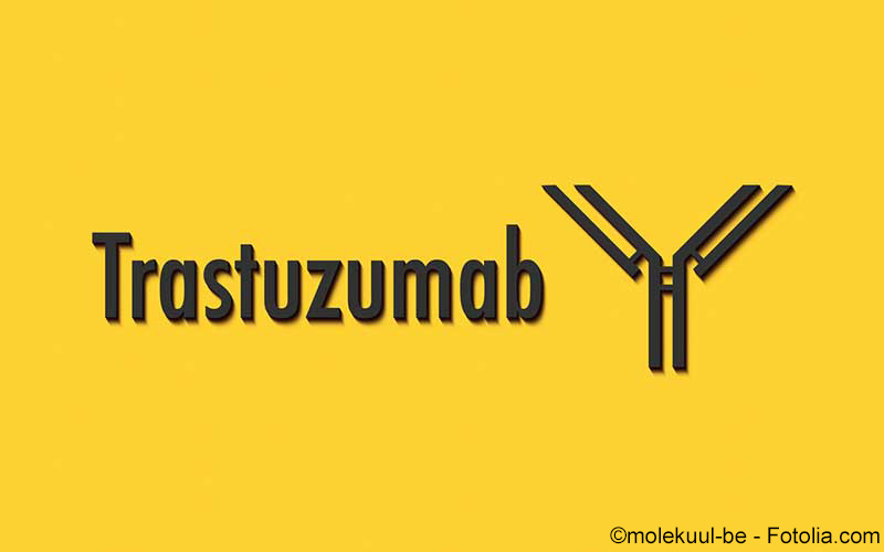 Trastuzumab Trastuzumab