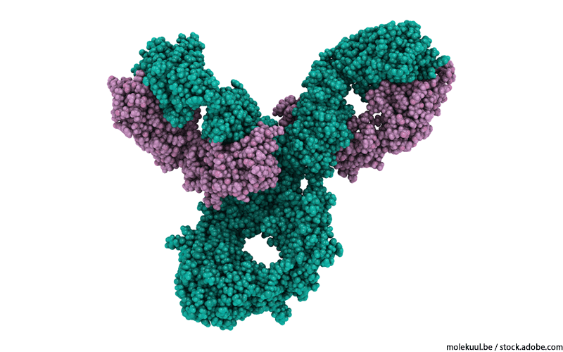 Pembrolizumab Anwendung, Wirkung, Nebenwirkungen Gelbe Liste