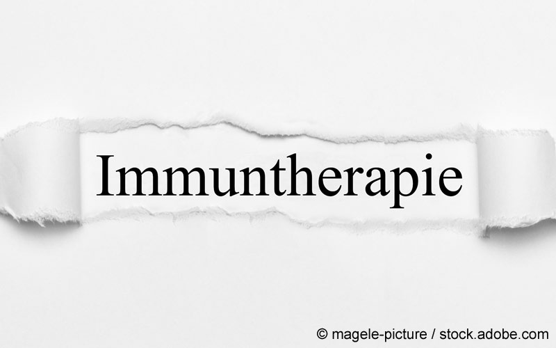 immuntherapie-schriftzug immuntherapie-schriftzug