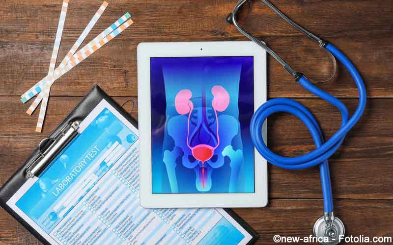 Urologische Untersuchung Urologische Untersuchung